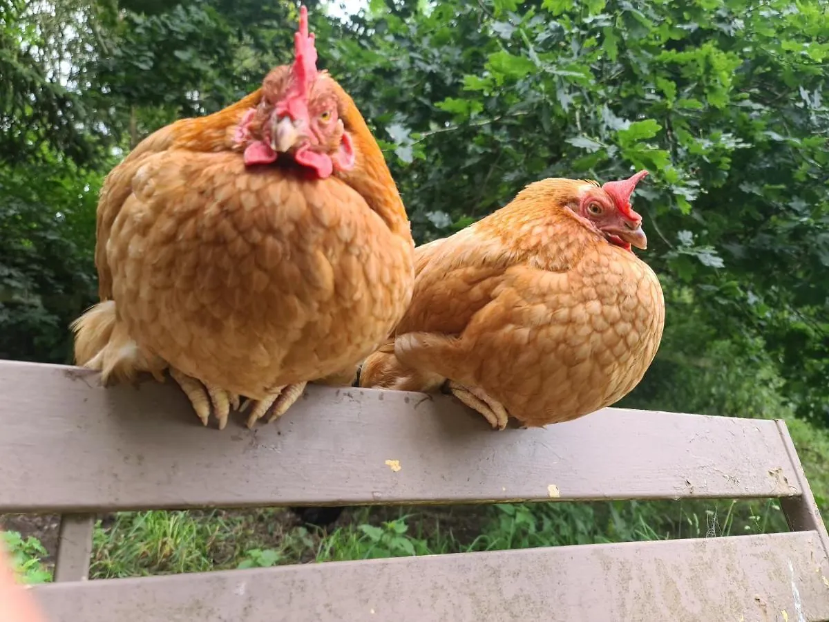 Gites Ferme de la Baie Roz-sur-Couesnon